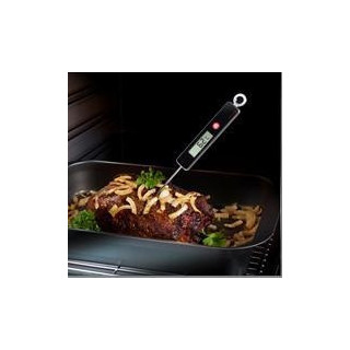 Digitální teploměr jehlový